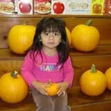 Wellwood Orchards photo