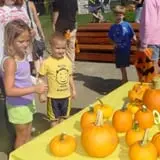 Wellwood Orchards photo