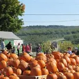 Wellwood Orchards photo