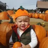 Wellwood Orchards photo
