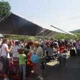 Wellwood Orchards photo