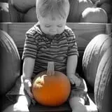 Wellwood Orchards photo