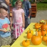 Wellwood Orchards photo