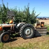 Wellwood Orchards photo