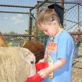 Wellwood Orchards photo