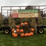 Pineland Farms photo
