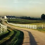 Pineland Farms photo
