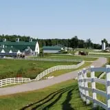 Pineland Farms photo