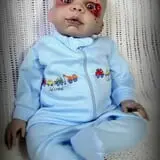 The Doll Asylum photo