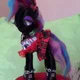 The Doll Asylum photo