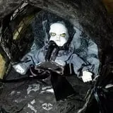 The Doll Asylum photo