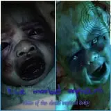 The Doll Asylum photo