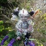 The Doll Asylum photo
