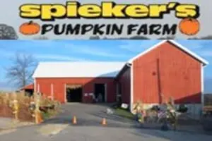 Spieker's Pumpkin Farm