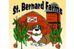 St. Bernard Farms Corn Maze & Pumpkin Patch