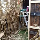 Condemned Valley Home Haunt photo