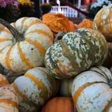 Sonny Acres Farm photo