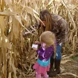 Montana Corn Maze photo