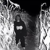 Montana Corn Maze photo