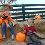 Montana Corn Maze photo