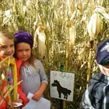 Montana Corn Maze photo