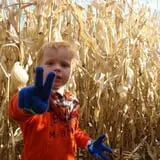 Montana Corn Maze photo