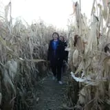 Montana Corn Maze photo