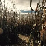 Montana Corn Maze photo