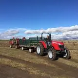 Montana Corn Maze photo