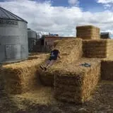 Montana Corn Maze photo
