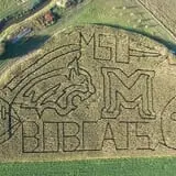 Montana Corn Maze photo