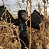 Montana Corn Maze photo