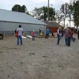 Montana Corn Maze photo