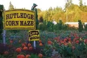 Rutledge Family Farm Haunted Corn Maze