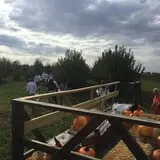 Berry Patch Farm photo