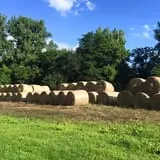 Berry Patch Farm photo