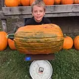 Berry Patch Farm photo