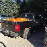 Berry Patch Farm photo