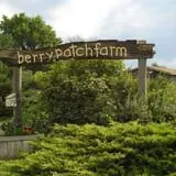 Berry Patch Farm photo