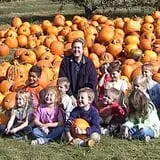Berry Patch Farm photo