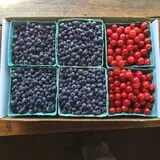 Berry Patch Farm photo
