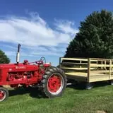 Berry Patch Farm photo