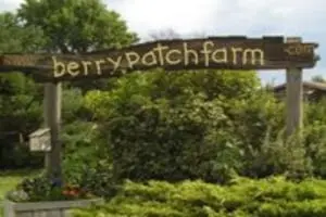Berry Patch Farm