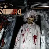 Mount Mayhem Haunted House photo