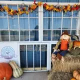 Pumpkin Patch at Grayson Farms photo