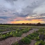 Pumpkin Patch at Grayson Farms