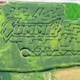 Dussel Farm Corn Maze photo
