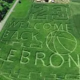 Dussel Farm Corn Maze photo
