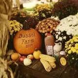 Dussel Farm Corn Maze photo