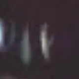 Alton Haunted Trolley Tours photo